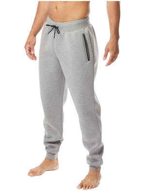 Pantalon Jogger Tyr Elite Team Homme Grise Clair | 93907263MBB