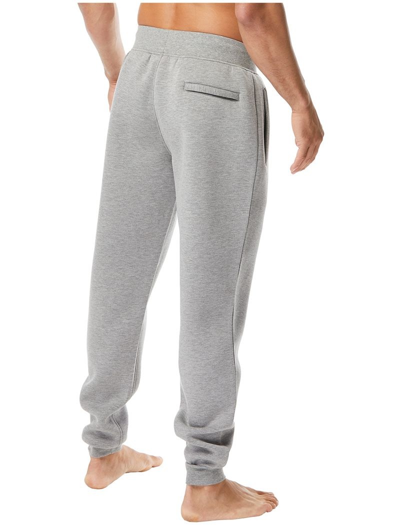 Pantalon Jogger Tyr Elite Team Homme Grise Clair | 93907263MBB