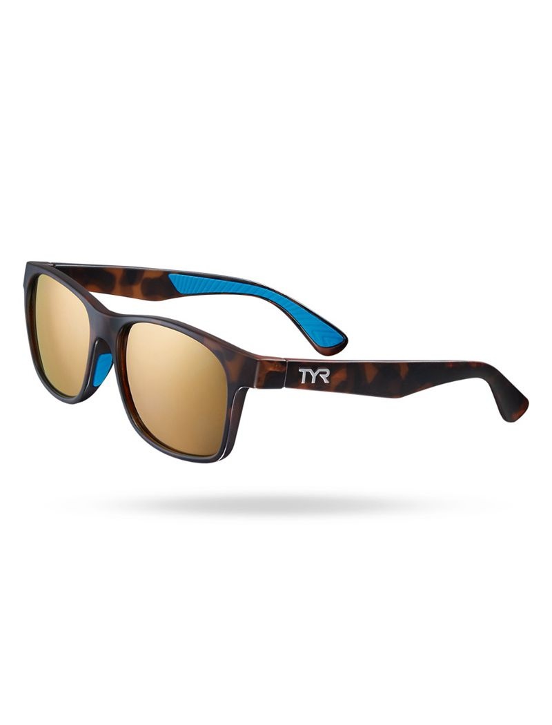 Lunette de Soleil Tyr Springdale Hts Polarized Homme Doré Marron | 71811619PSR