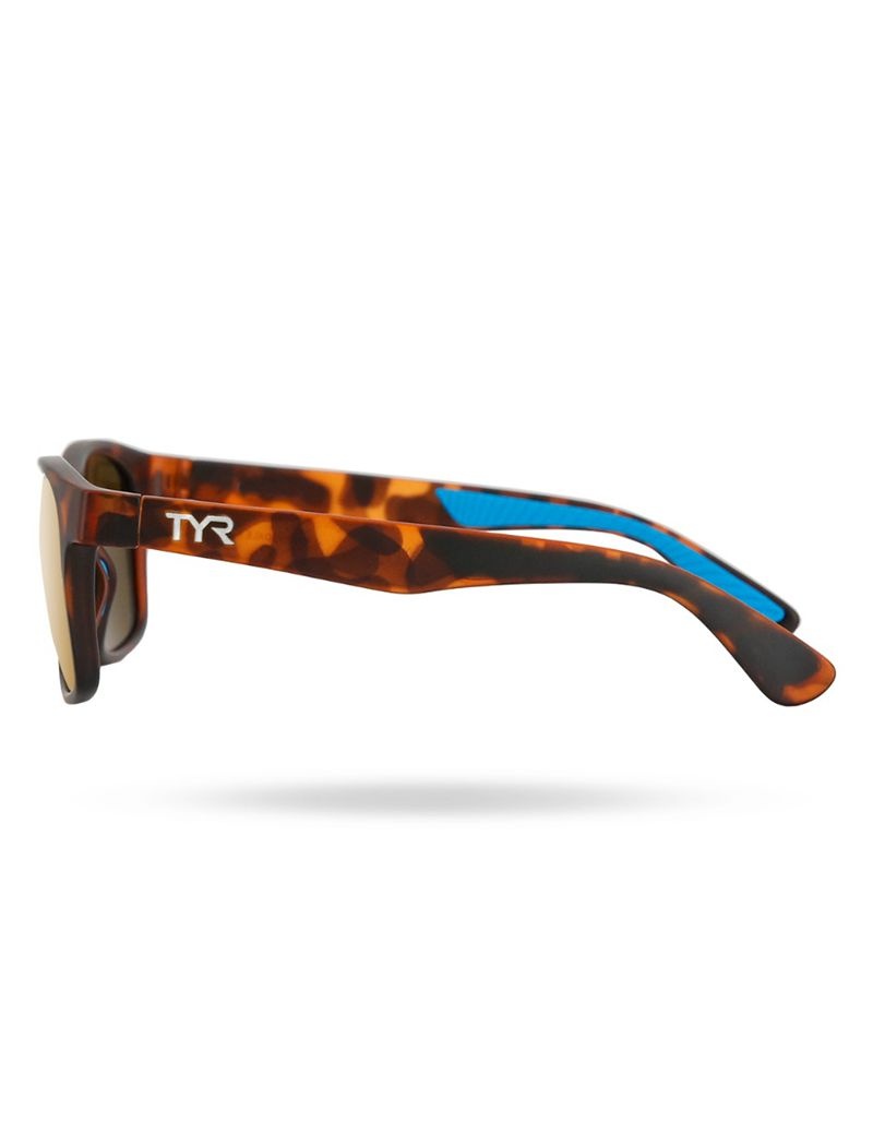 Lunette de Soleil Tyr Springdale Hts Polarized Homme Doré Marron | 71811619PSR