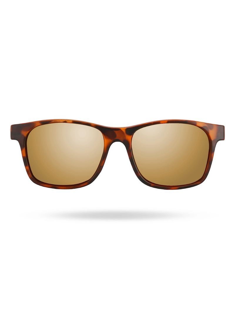 Lunette de Soleil Tyr Springdale Hts Polarized Homme Doré Marron | 71811619PSR