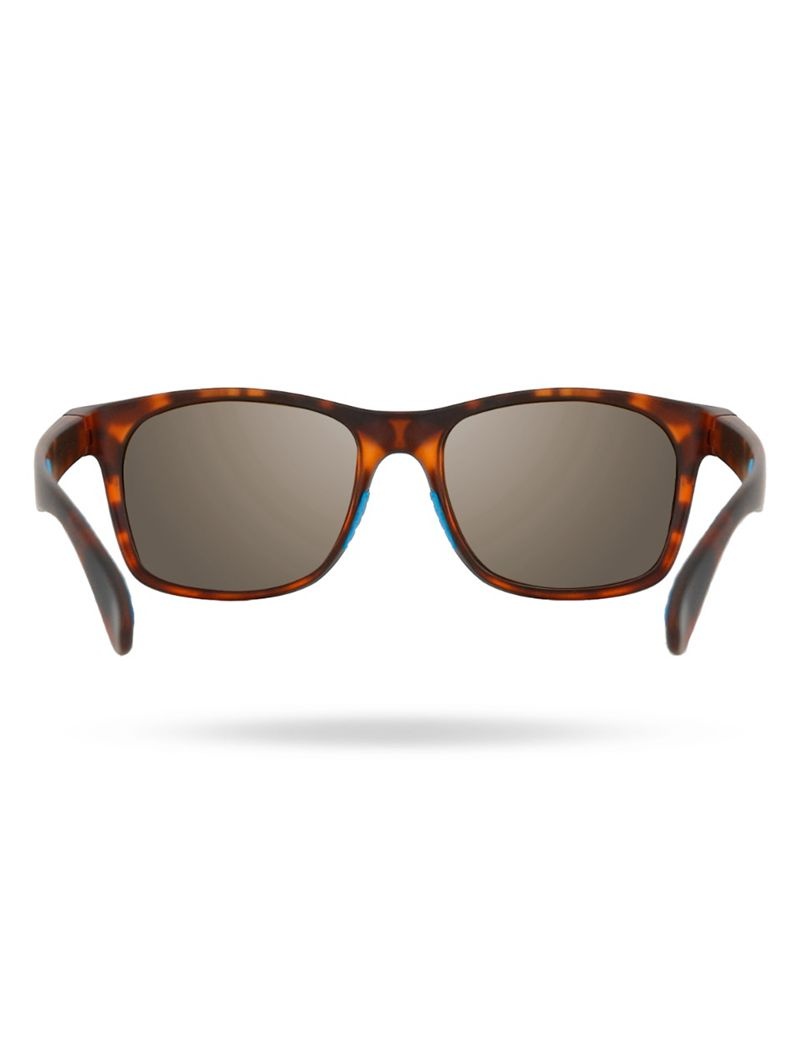 Lunette de Soleil Tyr Springdale Hts Polarized Homme Doré Marron | 71811619PSR