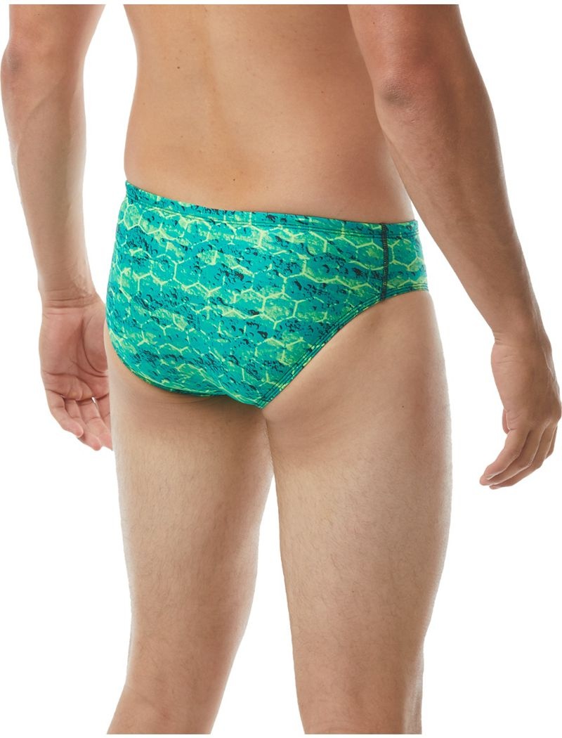 Maillot de Bain Tyr Durafast Elite? Agran Homme Vert | 93963130ETB