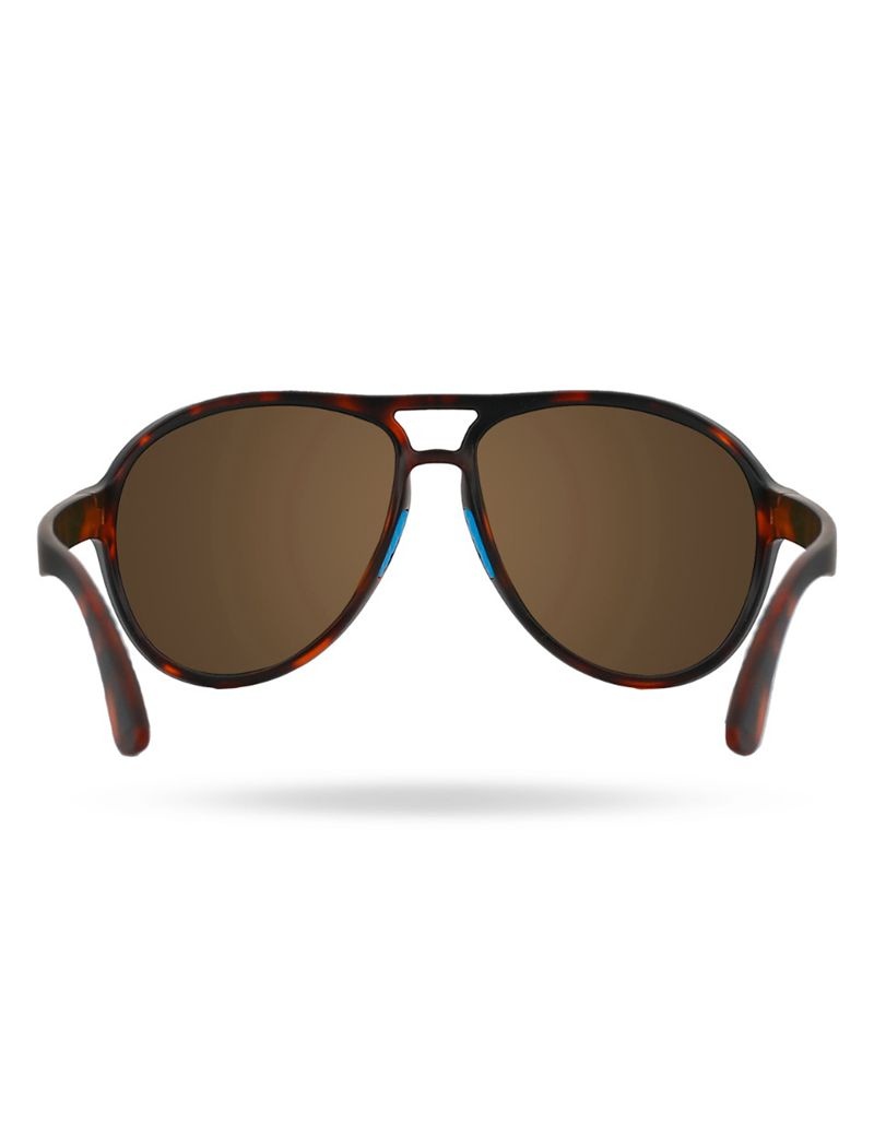 Lunette de Soleil Tyr Goldenwest Aviator Hts Polarized Homme Bleu Marron | 01210519HJJ