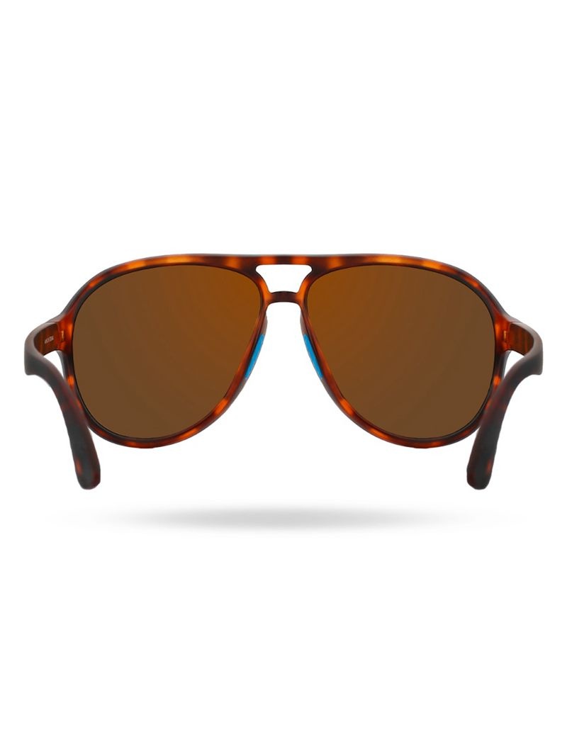 Lunette de Soleil Tyr Goldenwest Xl Aviator Hts Polarized Homme Marron | 31265136CJI