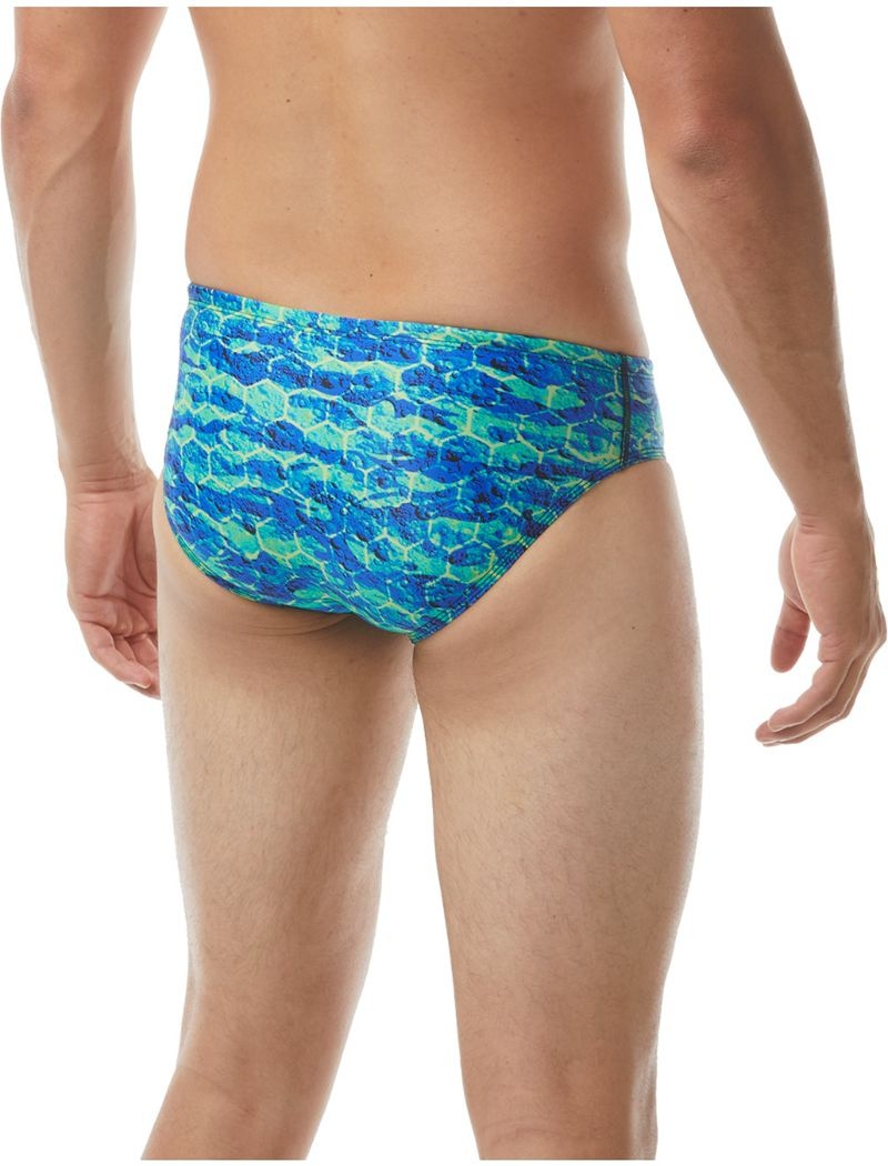 Maillot de Bain Tyr Durafast Elite? Agran Homme Bleu Vert | 20522180JDR