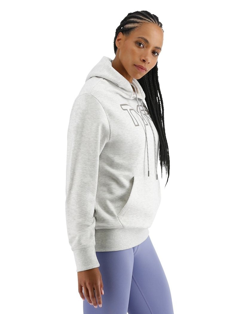 Sweat a Capuche Tyr Ultrasoft Big Logo Tech Femme Grise Clair | 22232667WJG